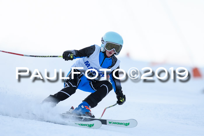 SVM U8, U10, U12, SechzgerPokal 2019