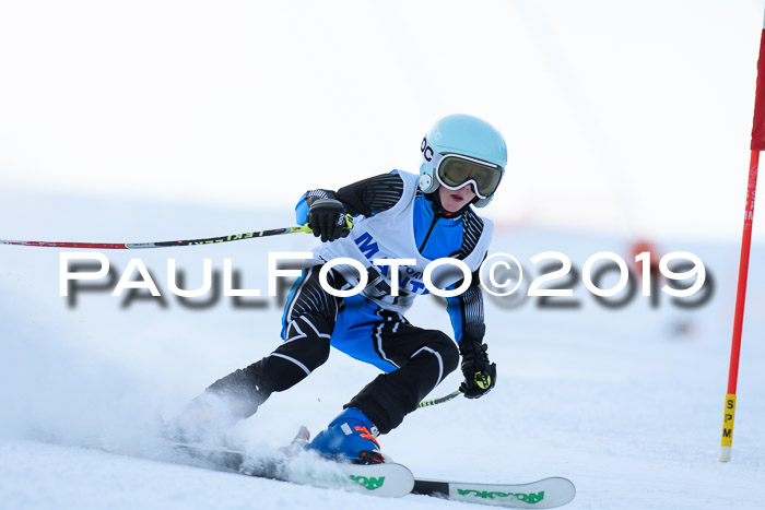 SVM U8, U10, U12, SechzgerPokal 2019
