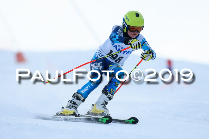 SVM U8, U10, U12, SechzgerPokal 2019
