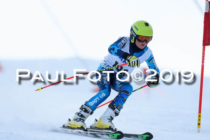 SVM U8, U10, U12, SechzgerPokal 2019