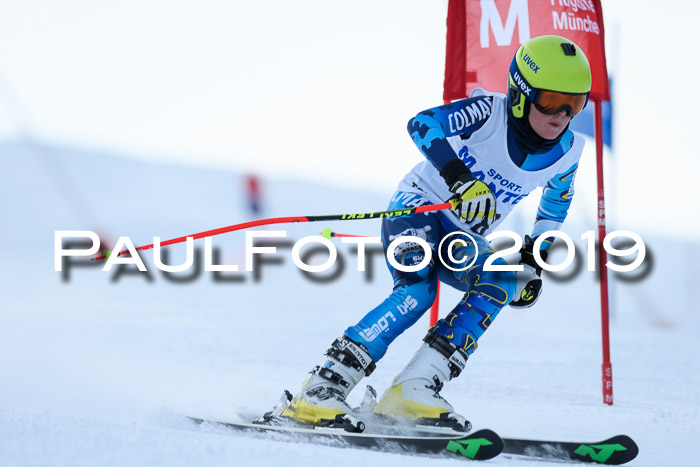 SVM U8, U10, U12, SechzgerPokal 2019