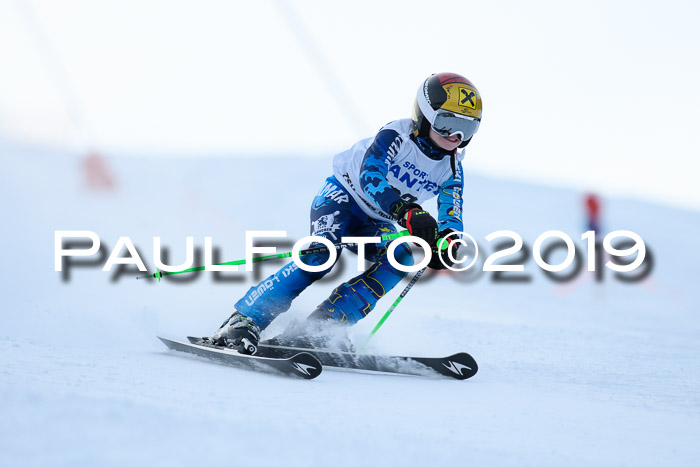 SVM U8, U10, U12, SechzgerPokal 2019