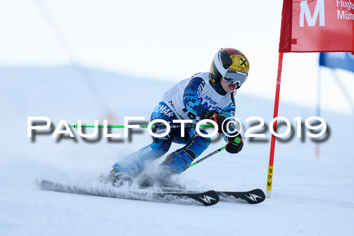 SVM U8, U10, U12, SechzgerPokal 2019