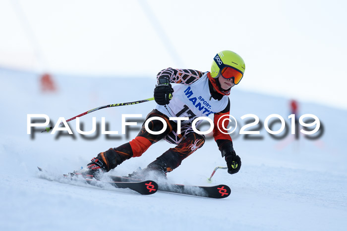 SVM U8, U10, U12, SechzgerPokal 2019