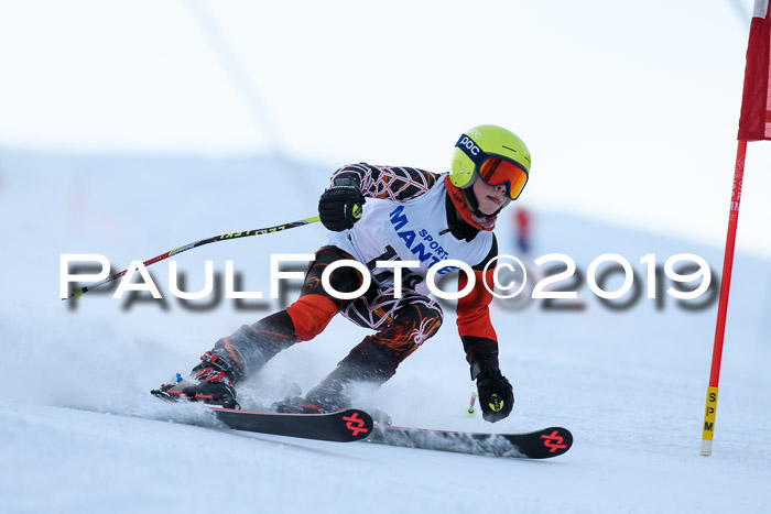SVM U8, U10, U12, SechzgerPokal 2019