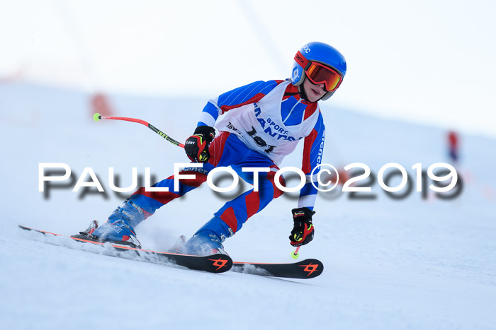 SVM U8, U10, U12, SechzgerPokal 2019