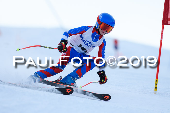SVM U8, U10, U12, SechzgerPokal 2019