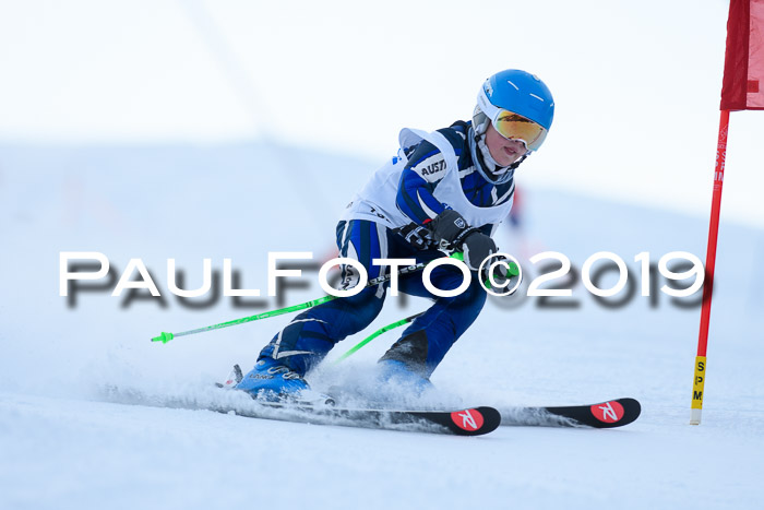 SVM U8, U10, U12, SechzgerPokal 2019