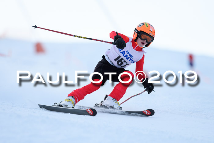 SVM U8, U10, U12, SechzgerPokal 2019
