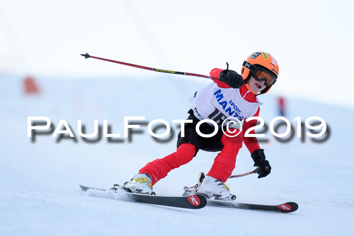 SVM U8, U10, U12, SechzgerPokal 2019