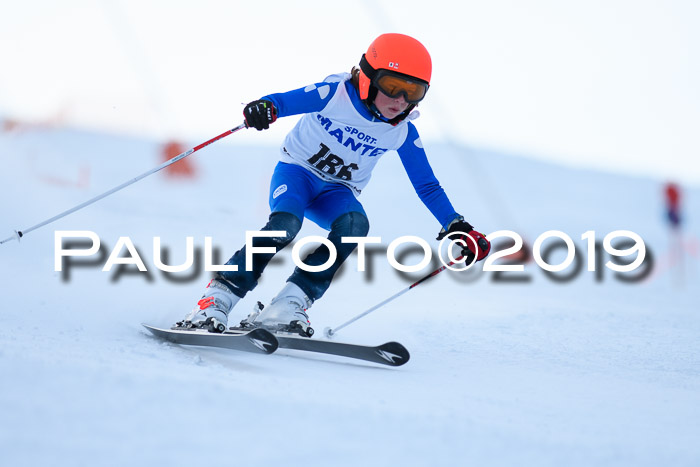 SVM U8, U10, U12, SechzgerPokal 2019