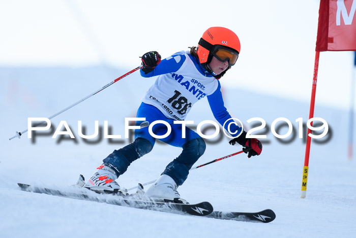 SVM U8, U10, U12, SechzgerPokal 2019