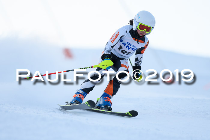 SVM U8, U10, U12, SechzgerPokal 2019