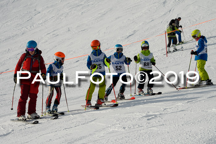 SVM U8, U10, U12, SechzgerPokal 2019