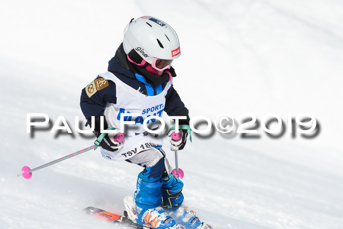 SVM U8, U10, U12, SechzgerPokal 2019