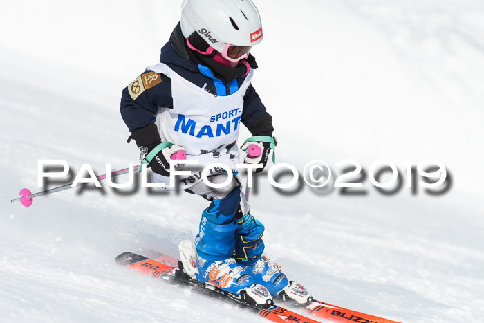 SVM U8, U10, U12, SechzgerPokal 2019