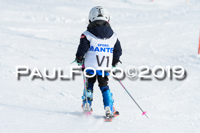 SVM U8, U10, U12, SechzgerPokal 2019
