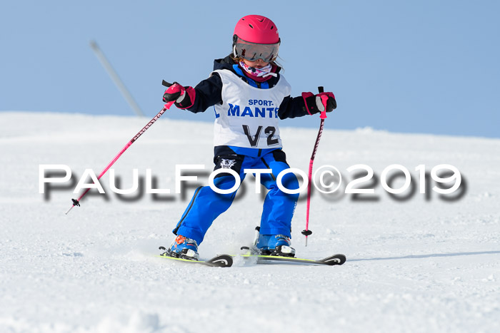 SVM U8, U10, U12, SechzgerPokal 2019