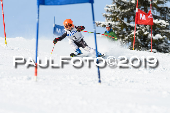 SVM U8, U10, U12, SechzgerPokal 2019