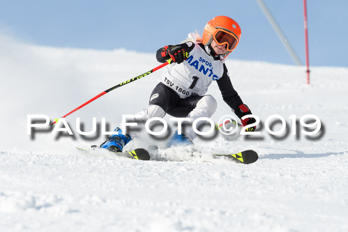 SVM U8, U10, U12, SechzgerPokal 2019