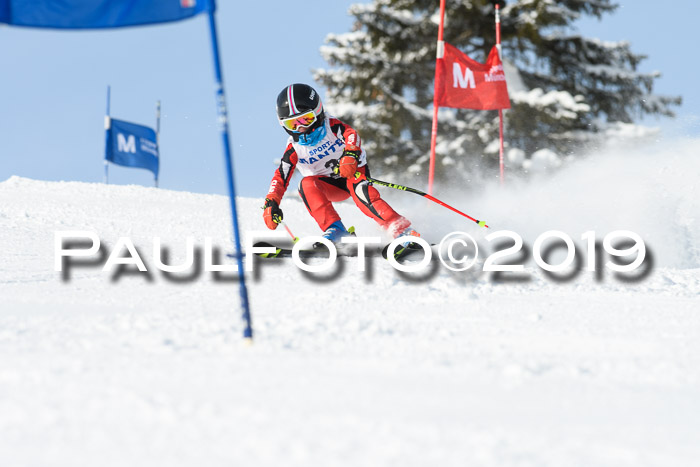 SVM U8, U10, U12, SechzgerPokal 2019