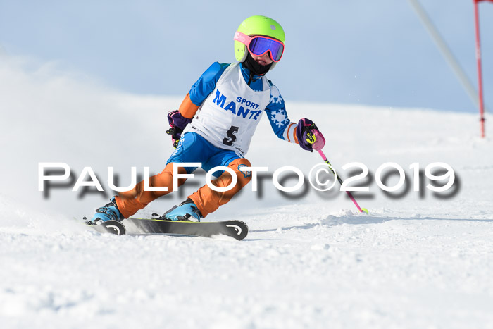 SVM U8, U10, U12, SechzgerPokal 2019