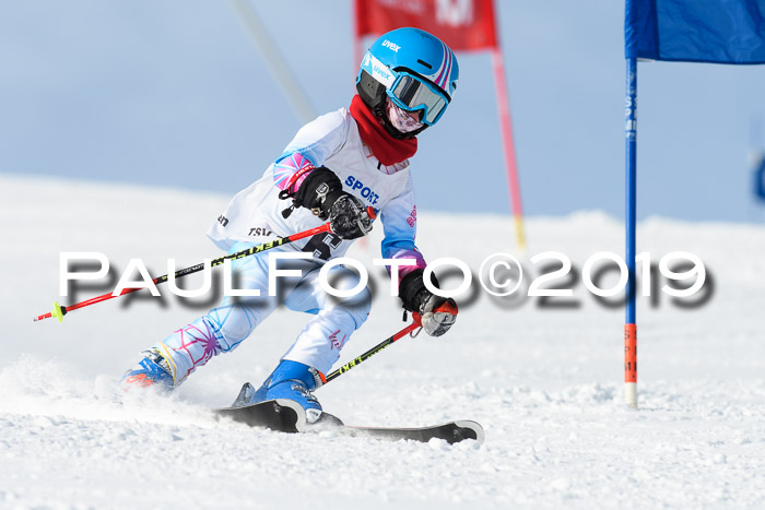 SVM U8, U10, U12, SechzgerPokal 2019