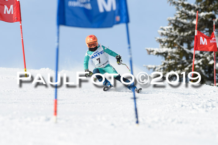 SVM U8, U10, U12, SechzgerPokal 2019