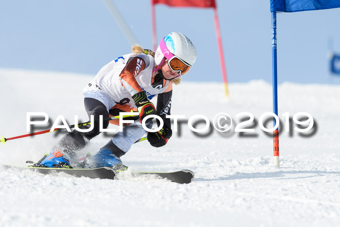 SVM U8, U10, U12, SechzgerPokal 2019