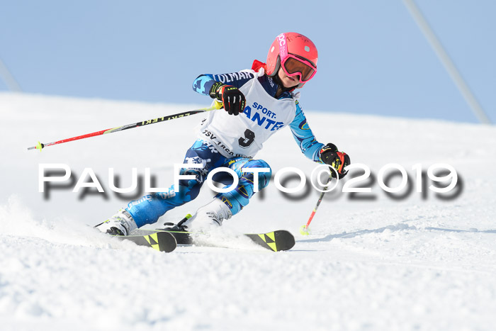 SVM U8, U10, U12, SechzgerPokal 2019