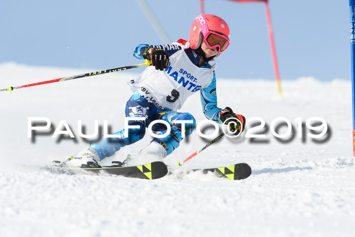 SVM U8, U10, U12, SechzgerPokal 2019