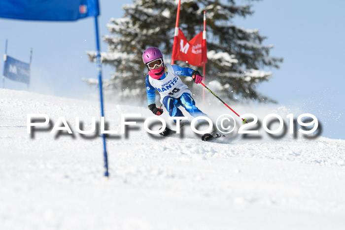 SVM U8, U10, U12, SechzgerPokal 2019