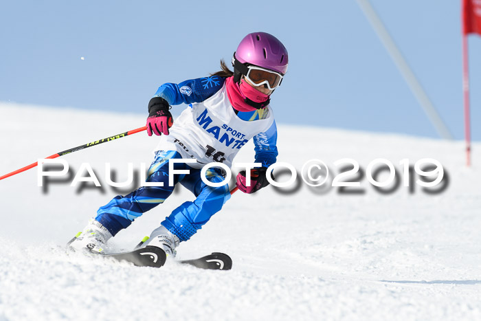 SVM U8, U10, U12, SechzgerPokal 2019