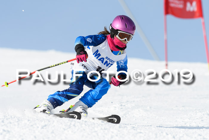 SVM U8, U10, U12, SechzgerPokal 2019