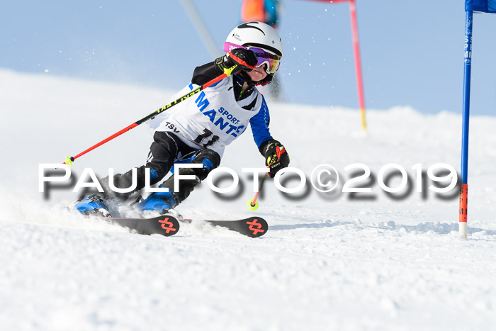 SVM U8, U10, U12, SechzgerPokal 2019