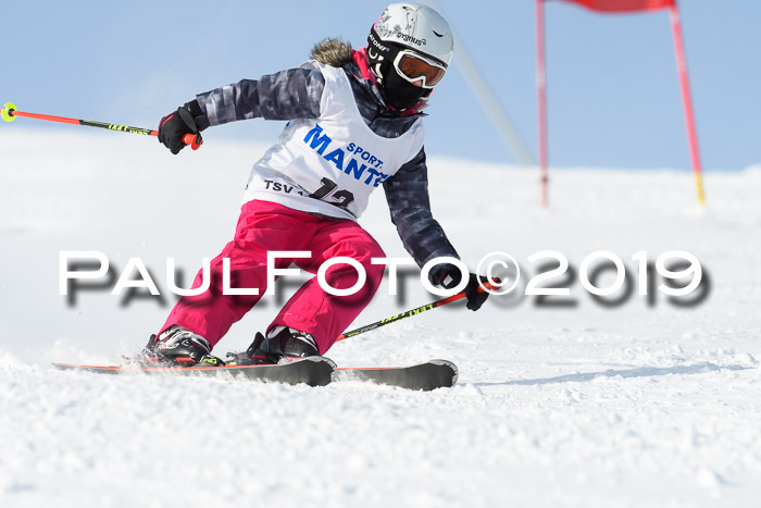 SVM U8, U10, U12, SechzgerPokal 2019