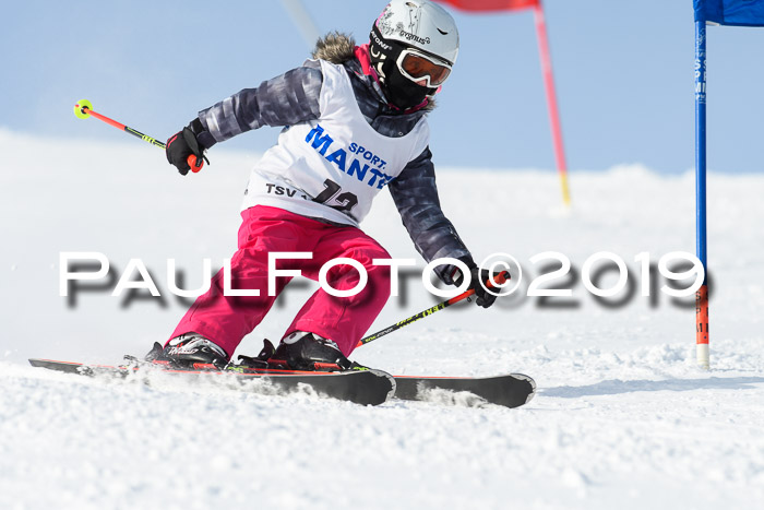 SVM U8, U10, U12, SechzgerPokal 2019