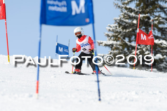 SVM U8, U10, U12, SechzgerPokal 2019