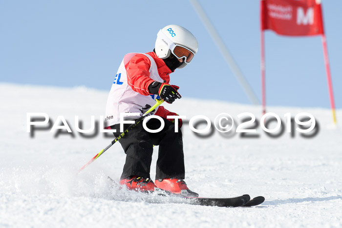 SVM U8, U10, U12, SechzgerPokal 2019