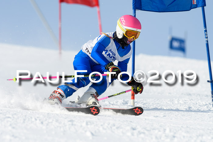 SVM U8, U10, U12, SechzgerPokal 2019