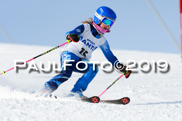 SVM U8, U10, U12, SechzgerPokal 2019