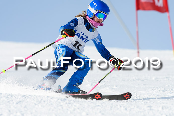 SVM U8, U10, U12, SechzgerPokal 2019