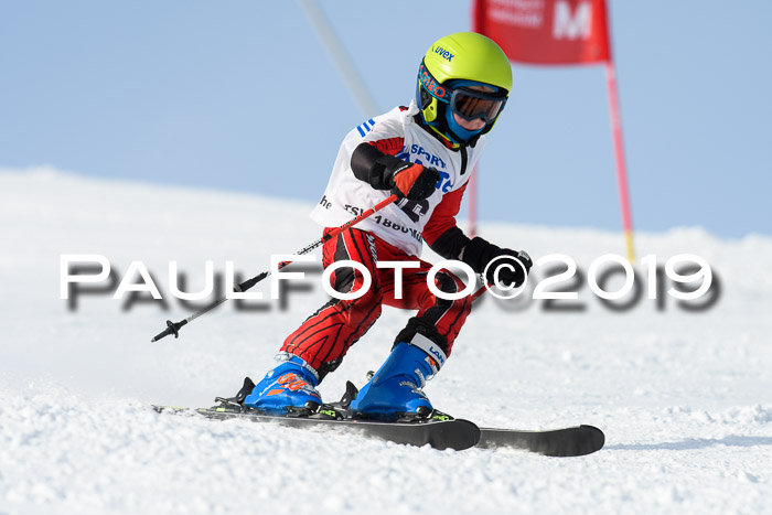 SVM U8, U10, U12, SechzgerPokal 2019