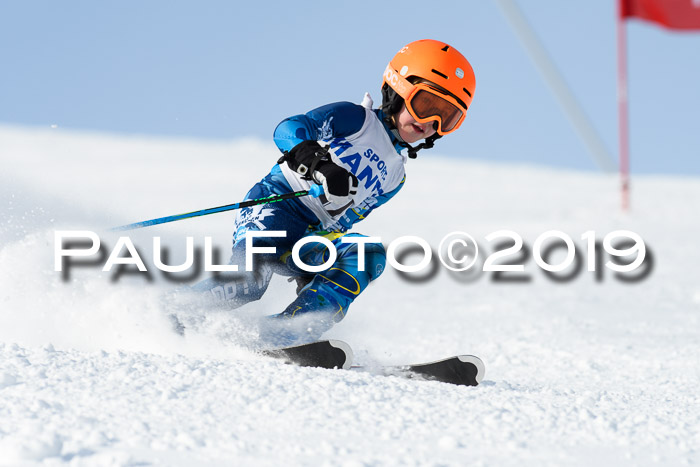SVM U8, U10, U12, SechzgerPokal 2019