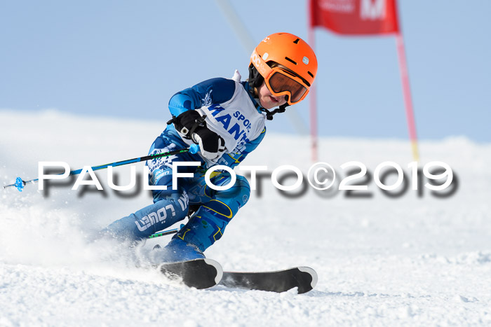 SVM U8, U10, U12, SechzgerPokal 2019