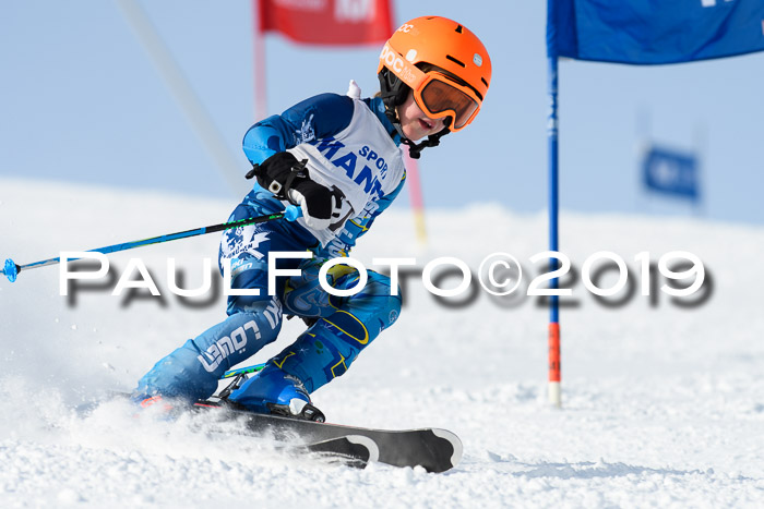 SVM U8, U10, U12, SechzgerPokal 2019