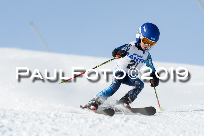 SVM U8, U10, U12, SechzgerPokal 2019