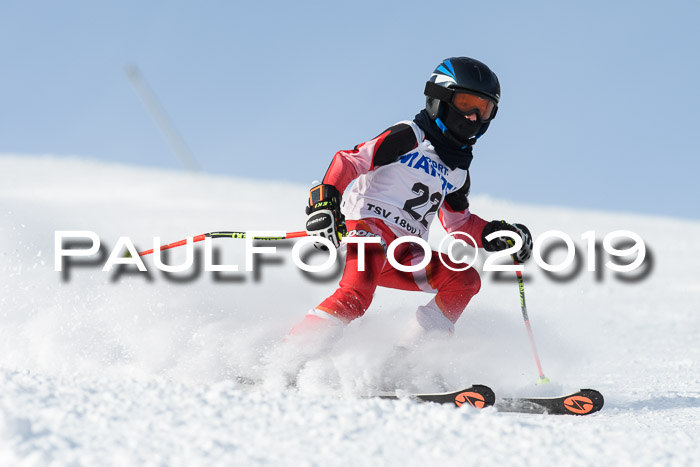 SVM U8, U10, U12, SechzgerPokal 2019