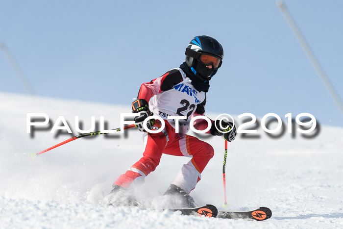 SVM U8, U10, U12, SechzgerPokal 2019