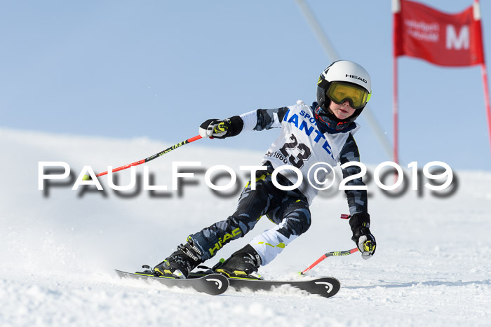 SVM U8, U10, U12, SechzgerPokal 2019